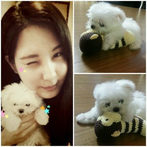 少女時代ソヒョン、愛犬とのキュートな2ショット写真を公開